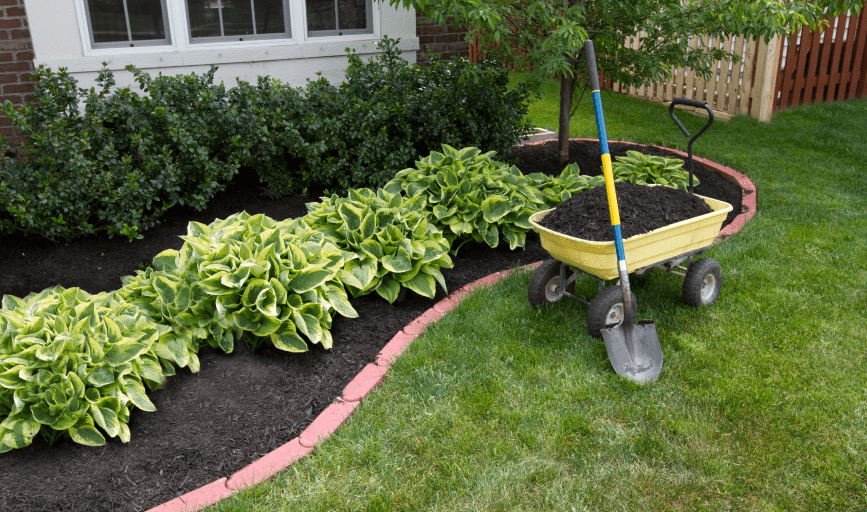 LAWN CARE